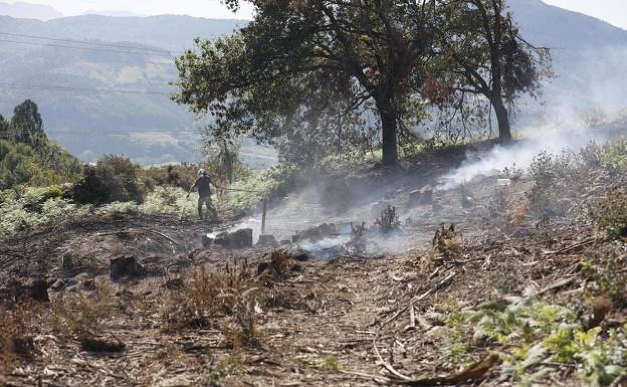 Zona donde se ha producido el incendio. 