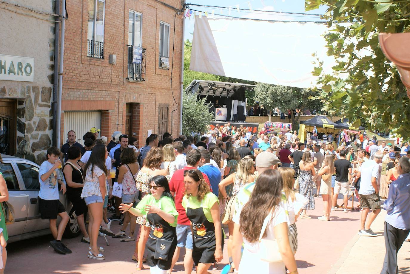 Fotos: Miles de personas asisten al Festival de la patata brava de Villar de Torre