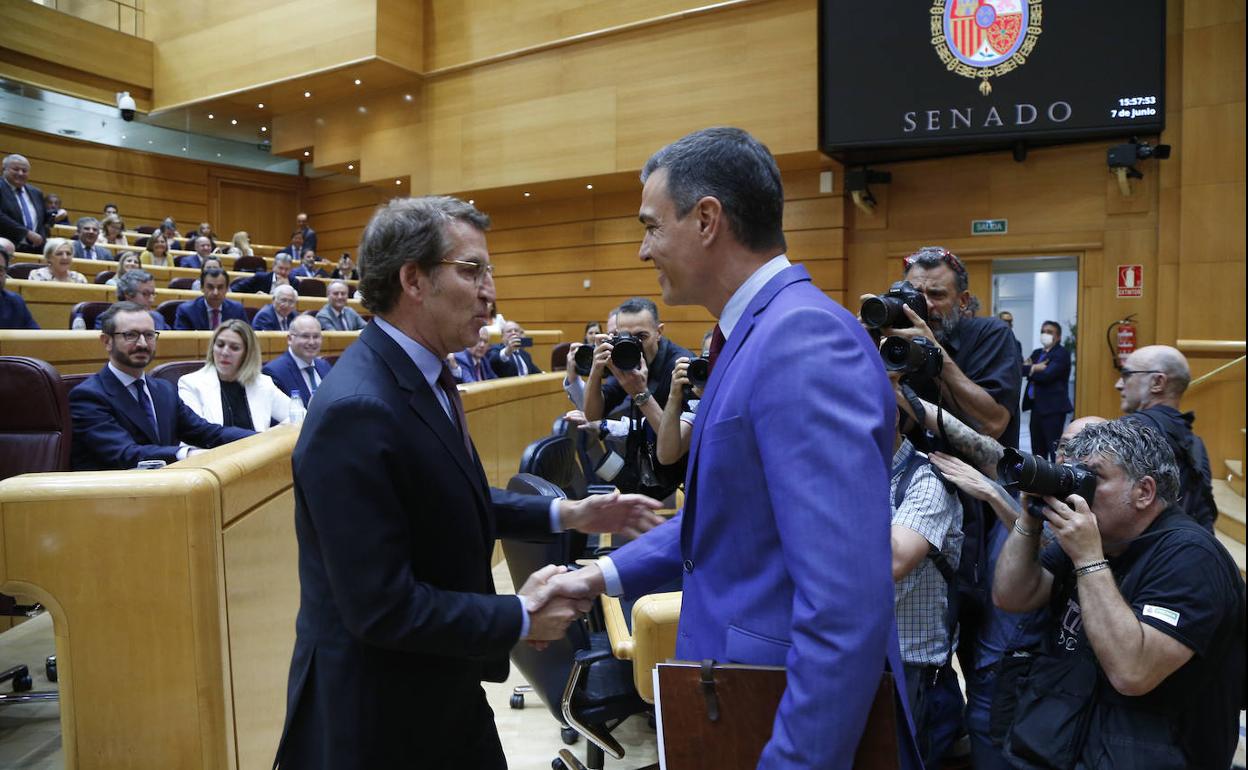 Alberto Núñez Fejióo y Pedro Sánchez, el pasado mes de junio en el Senado.