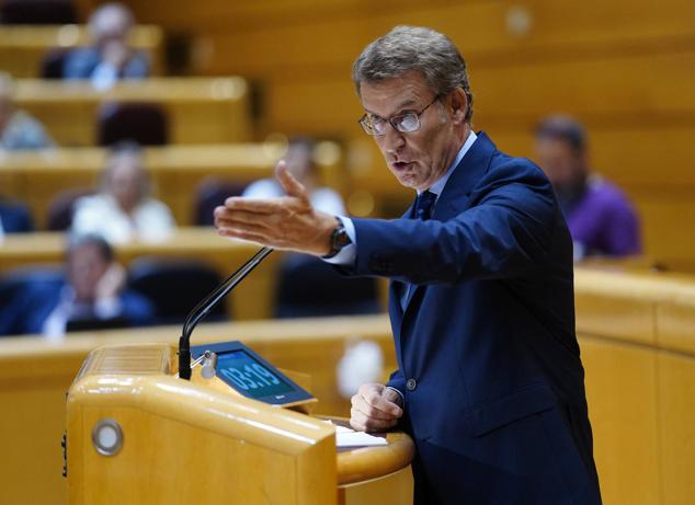 El líder del Partido Popular, Alberto Núñez Feijóo, durante su intervención en el Senado.