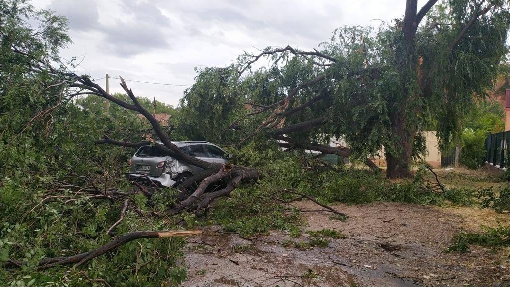 Fotos: Los daños de la tormenta en Arnedo