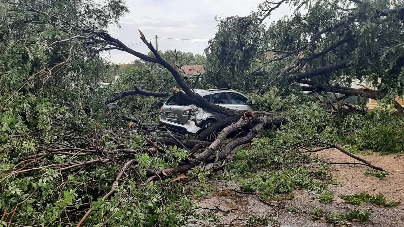 Fotos: Los daños de la tormenta en Arnedo