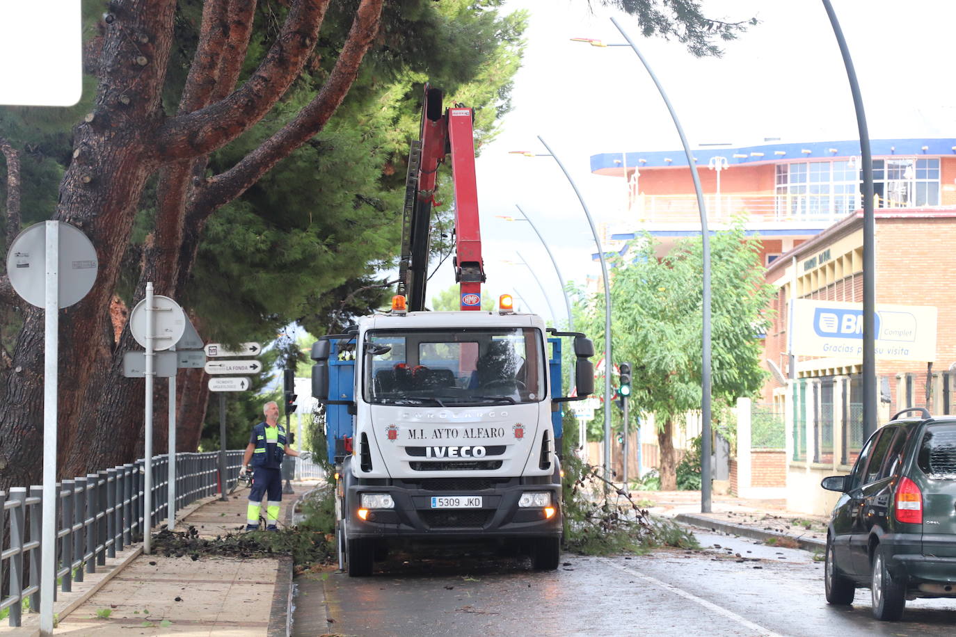 Fotos: La tormenta azota los árboles en Alfaro