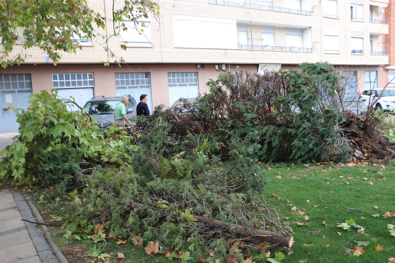 Fotos: Así ha quedado Arnedo tras la tormenta