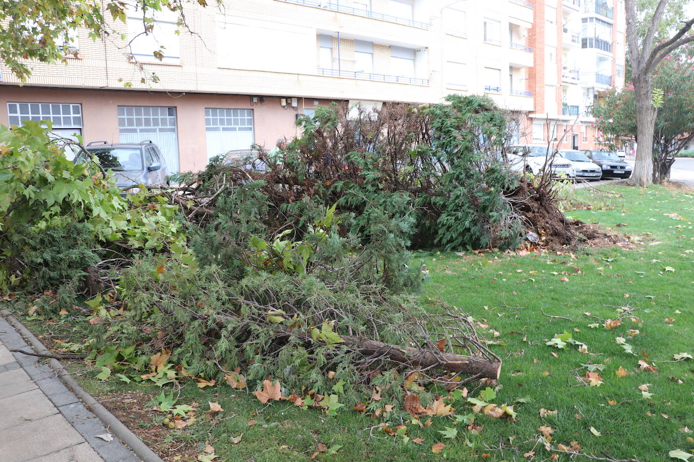 Fotos: Así ha quedado Arnedo tras la tormenta