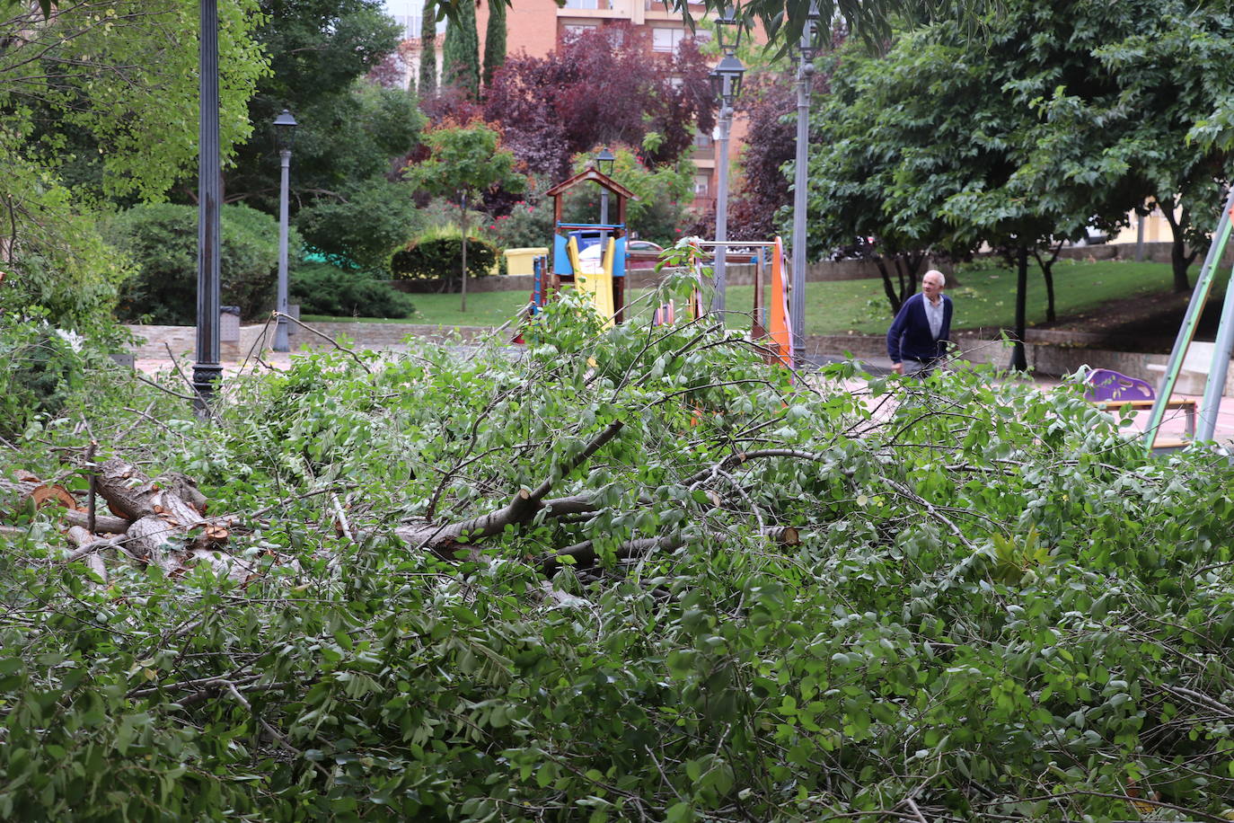 Fotos: Así ha quedado Arnedo tras la tormenta