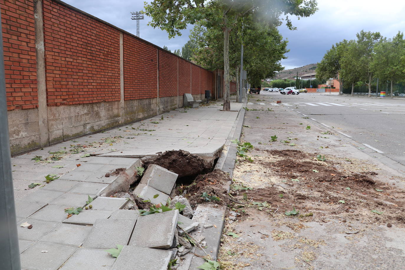 Fotos: Así ha quedado Arnedo tras la tormenta