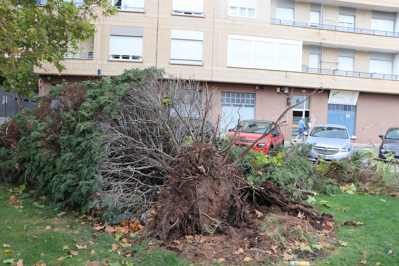 Fotos: Así ha quedado Arnedo tras la tormenta