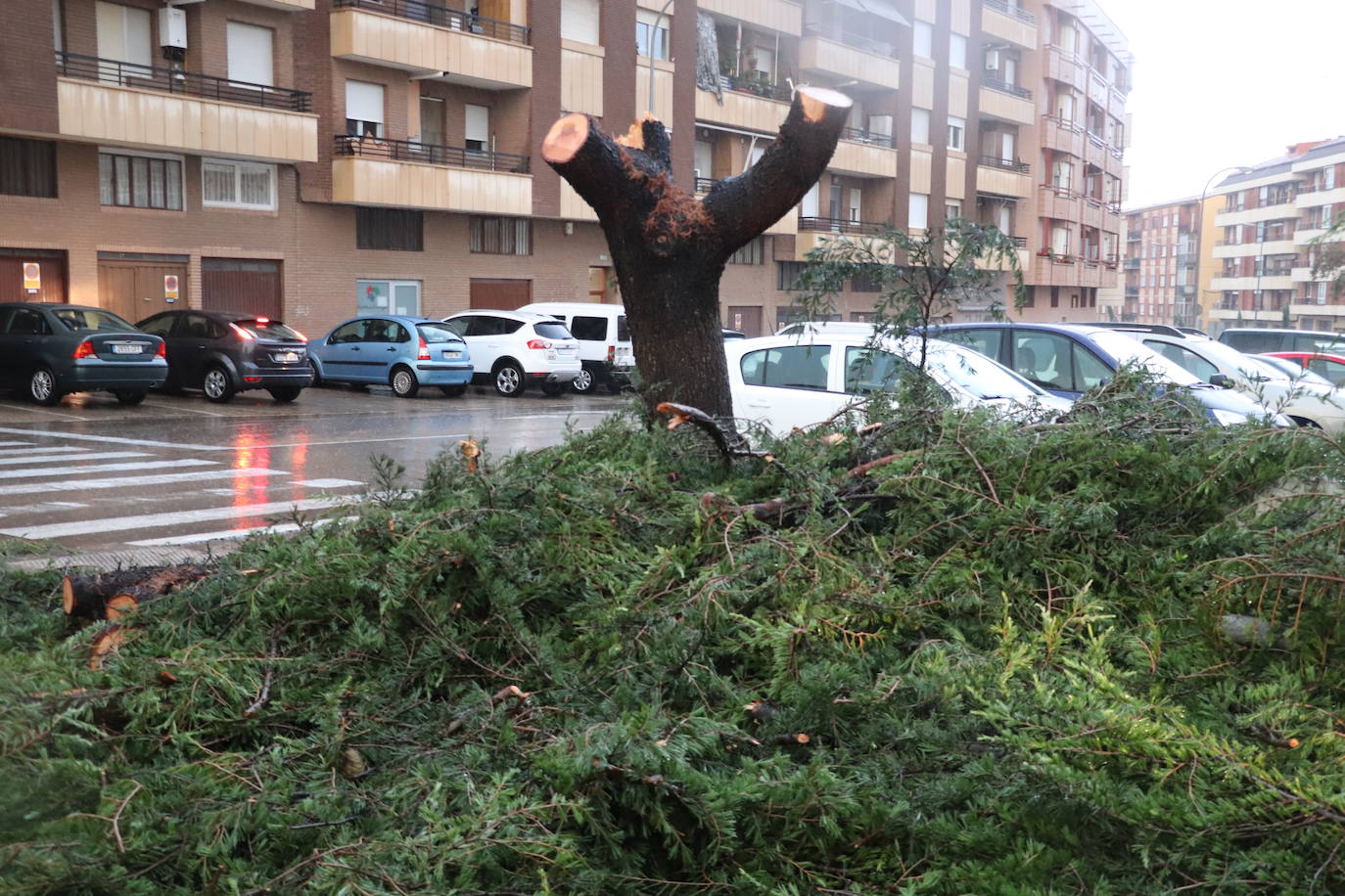 Fotos: Así ha quedado Arnedo tras la tormenta