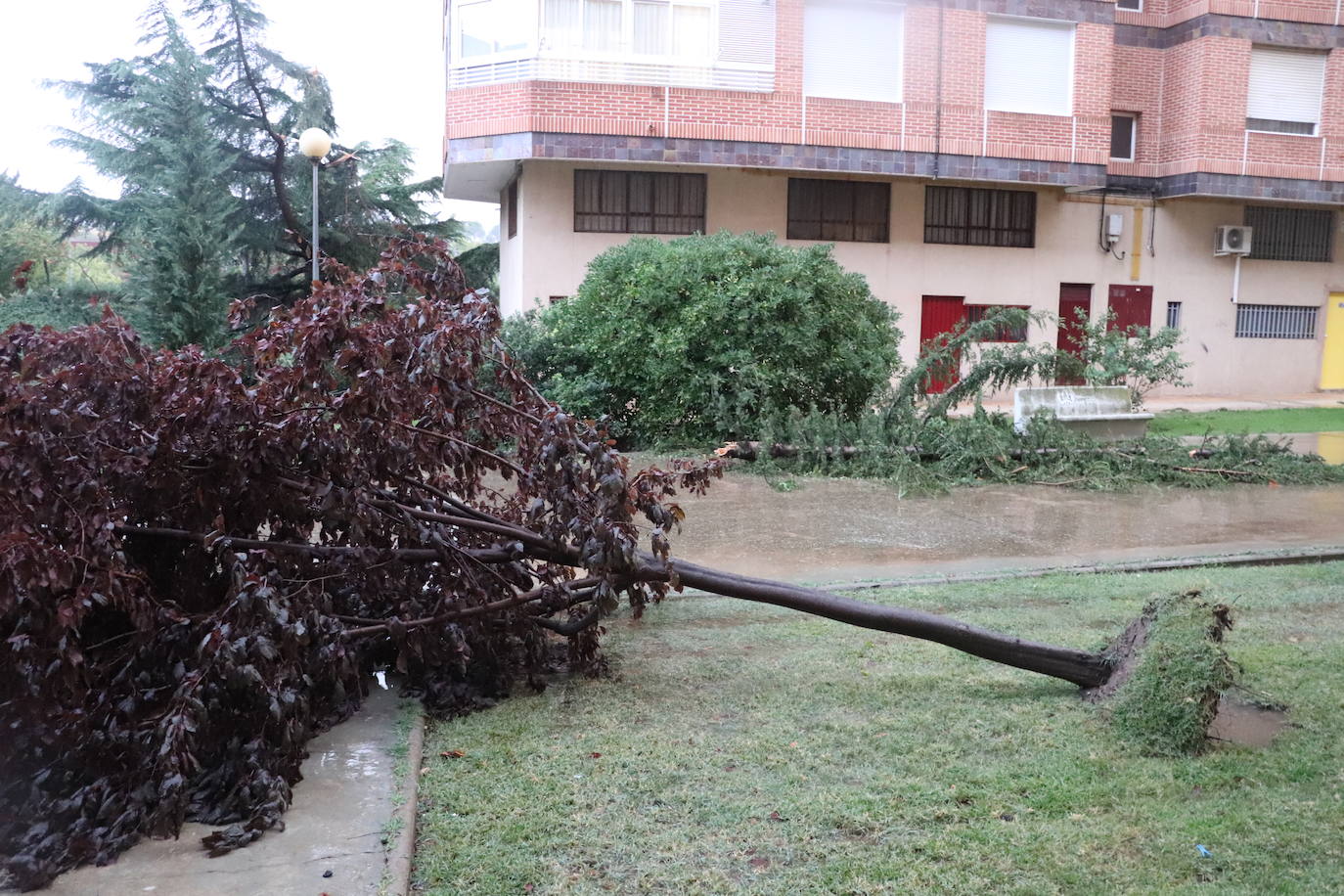 Fotos: Así ha quedado Arnedo tras la tormenta