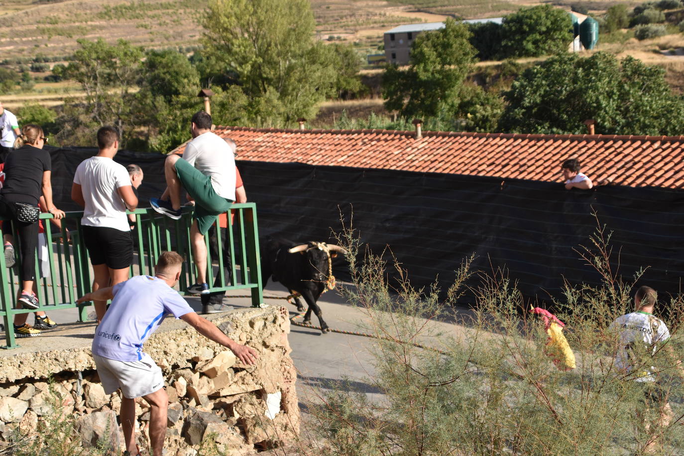 Fotos: Cabretón recupera la suelta de toros ensogados