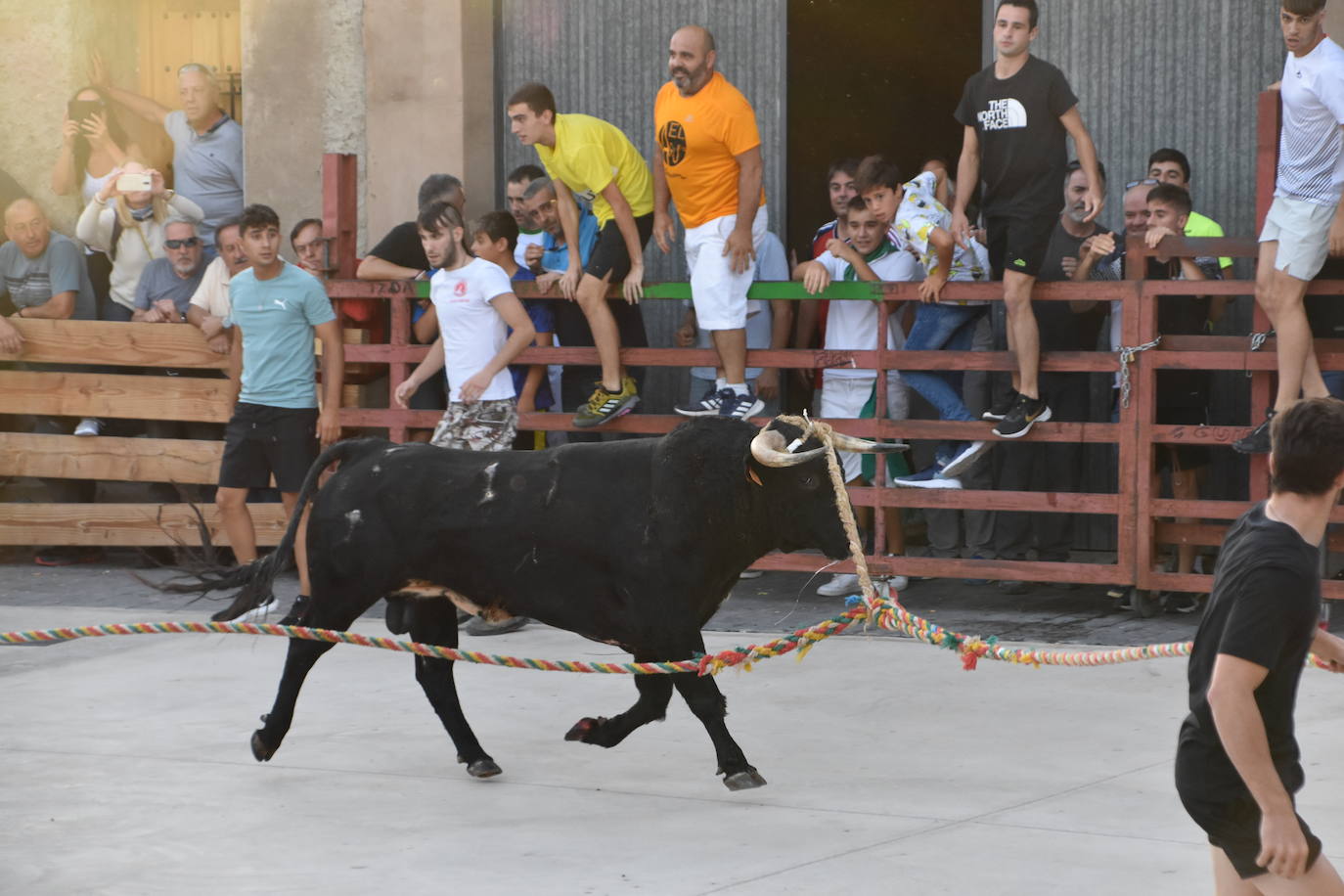 Fotos: Cabretón recupera la suelta de toros ensogados