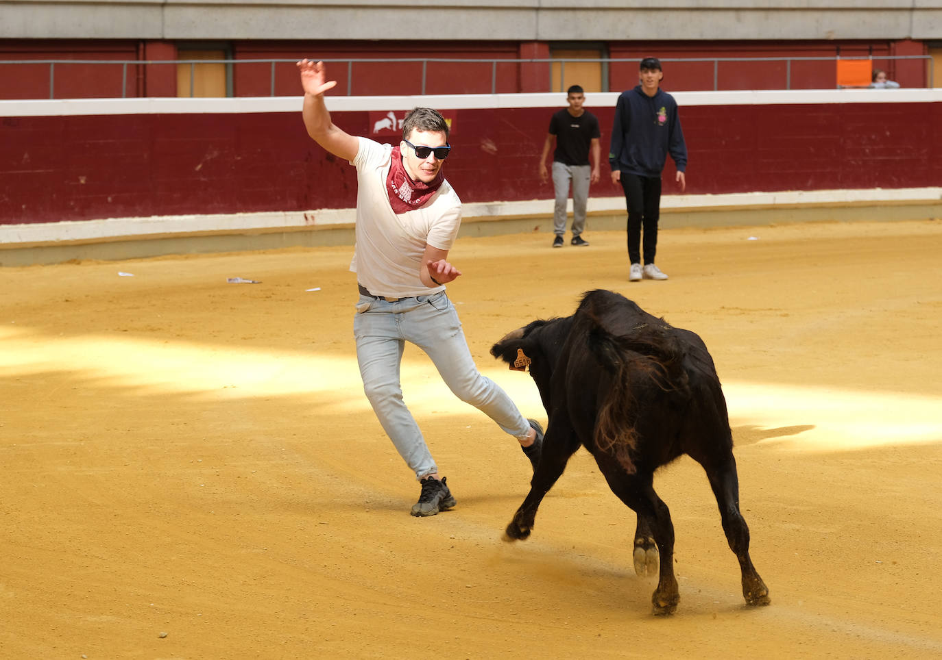 Fotos: Las vaquillas llenan La Ribera el domingo