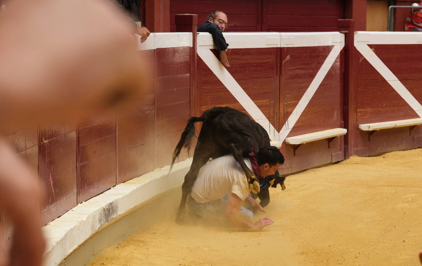 Fotos: Las vaquillas llenan La Ribera el domingo