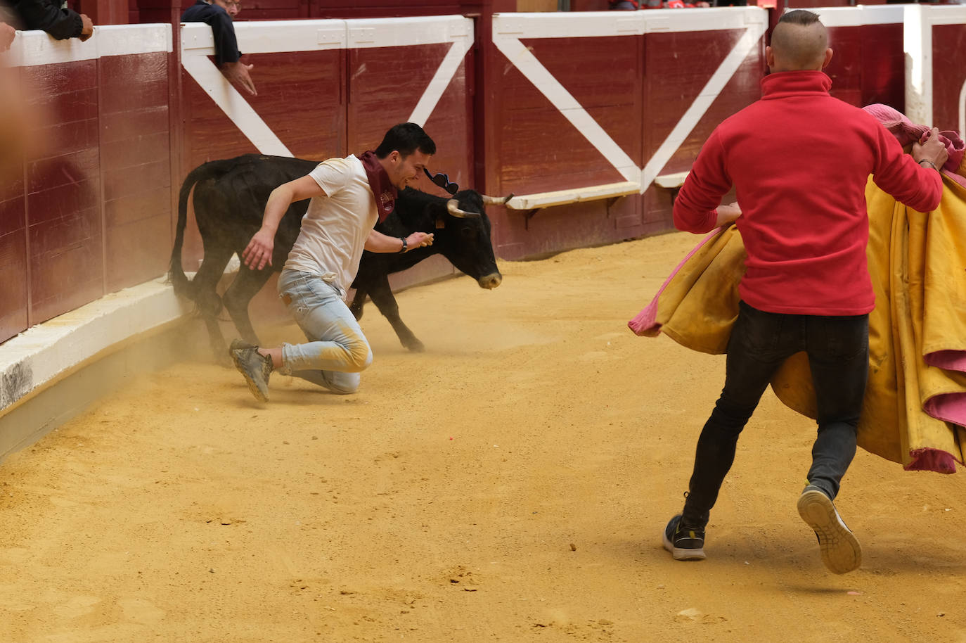 Fotos: Las vaquillas llenan La Ribera el domingo