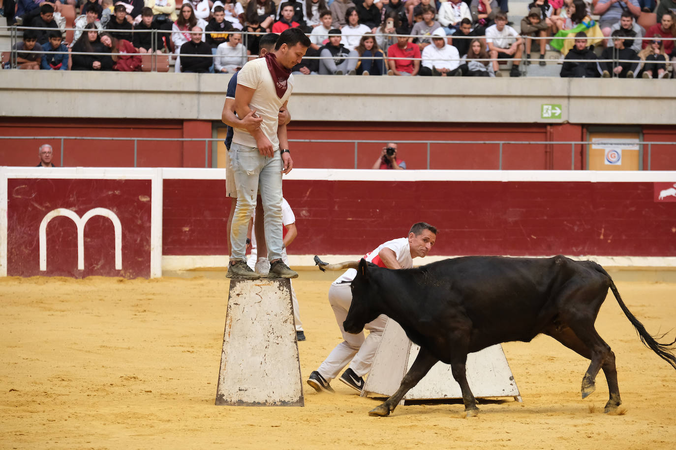 Fotos: Las vaquillas llenan La Ribera el domingo