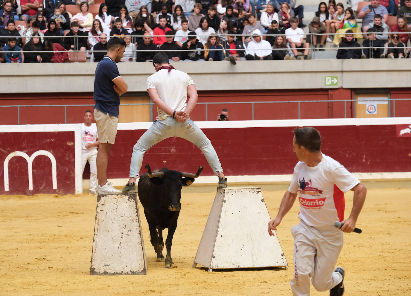 Fotos: Las vaquillas llenan La Ribera el domingo