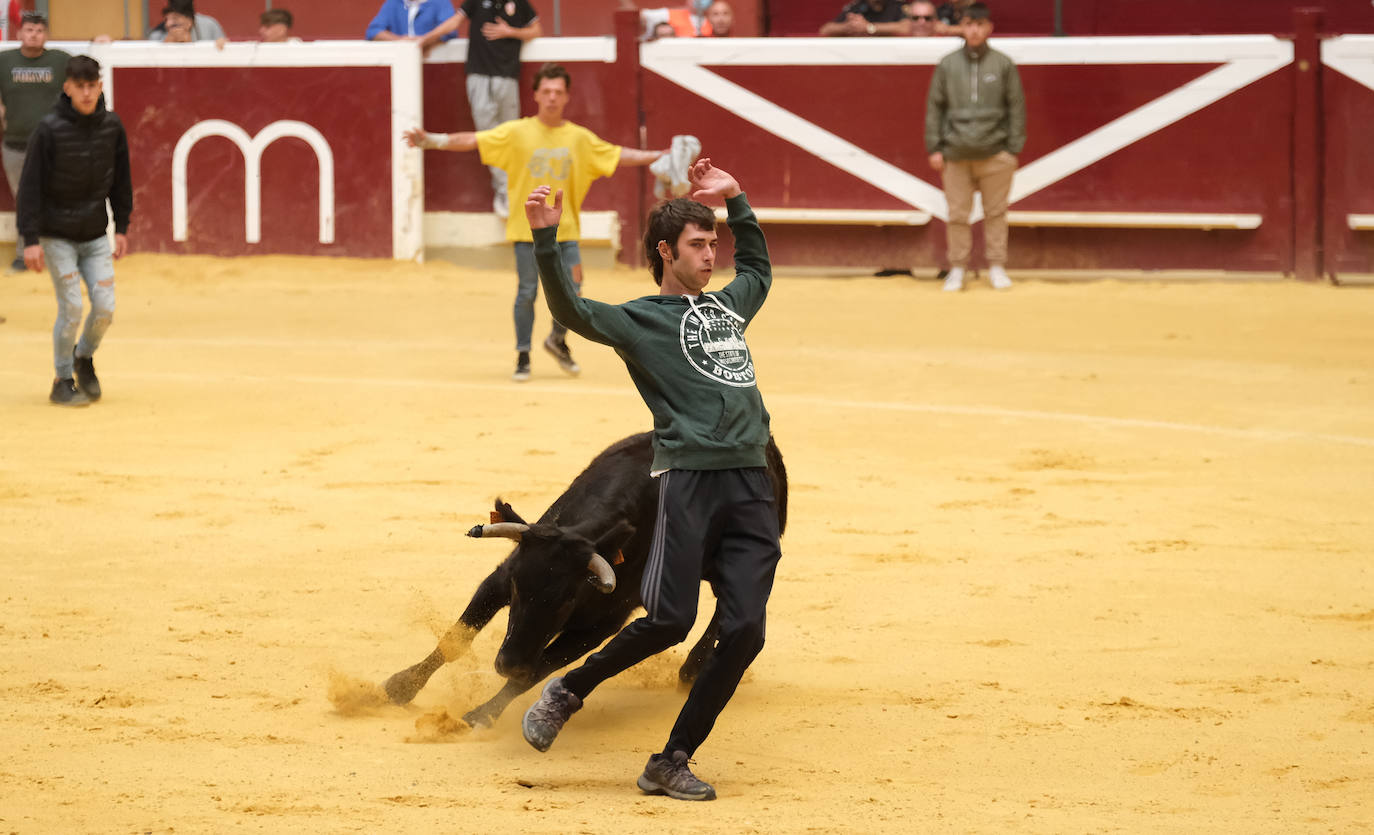 Fotos: Las vaquillas llenan La Ribera el domingo