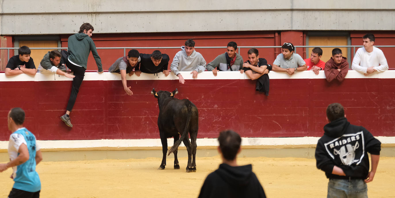 Fotos: Las vaquillas llenan La Ribera el domingo