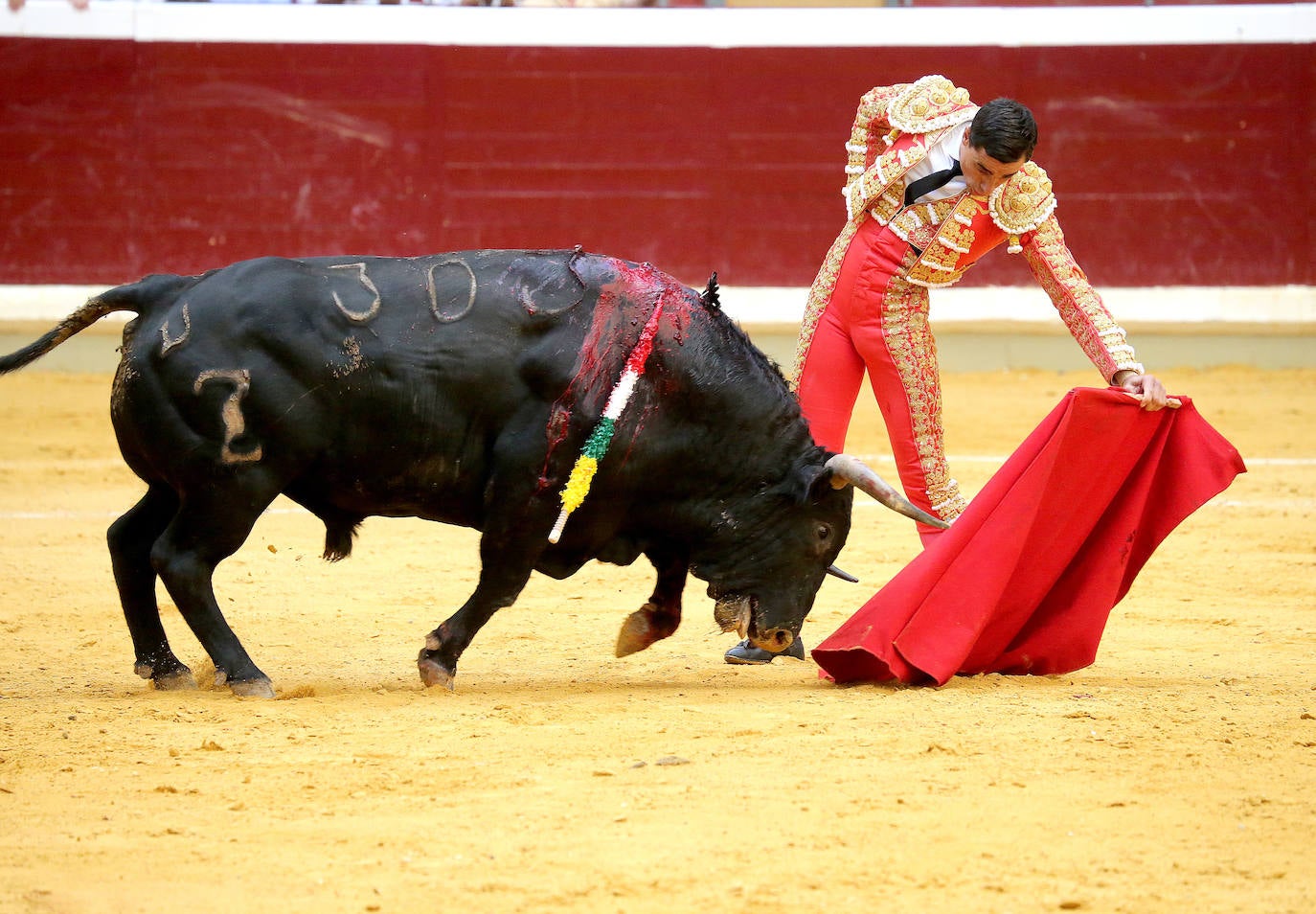 Fotos: Una oreja para cada diestro en La Ribera