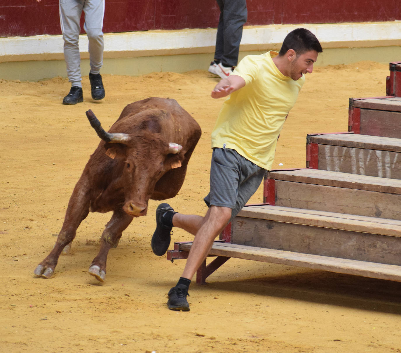 Fotos: Animación y saltos en las vaquillas del martes