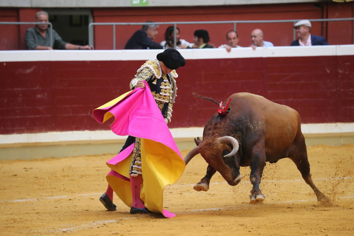 Fotos: Roca Rey y Urdiales salen a hombros en La Ribera