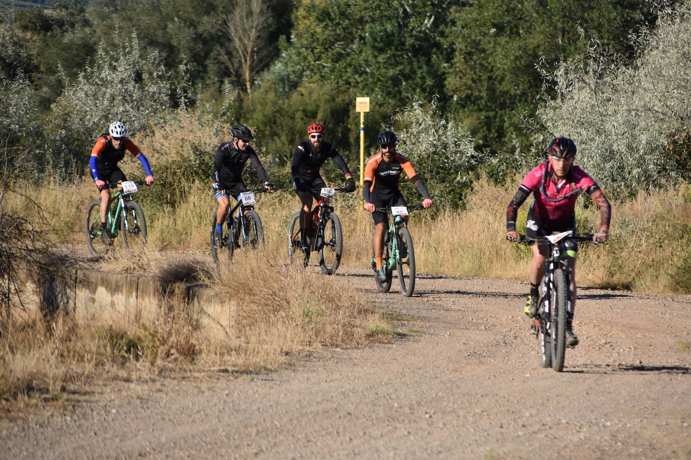 Fotos: Cruz y Narciso se llevan la BTT de la Peña Calagurritana