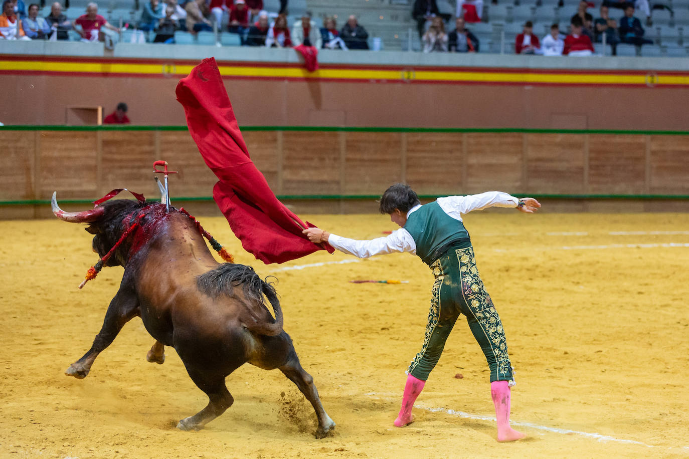 Fotos: Pulido sufre una cogida en Arnedo