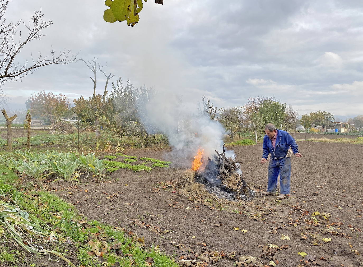 Un agricultor quema unos rastrojos en una finca de Haro.