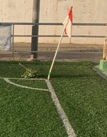 Imagen secundaria 2 - Actos vandálicos en el San Miguel, de Rincón de Soto: un árbol en medio de la portería