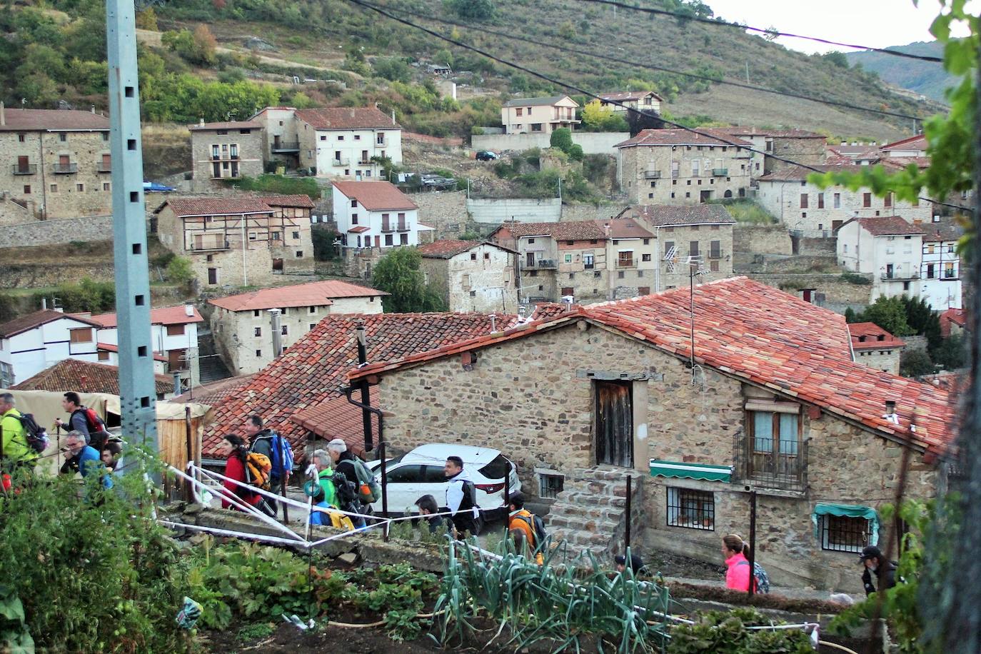 Fotos: Más de 300 senderistas recorren la Sierra de Cebollera