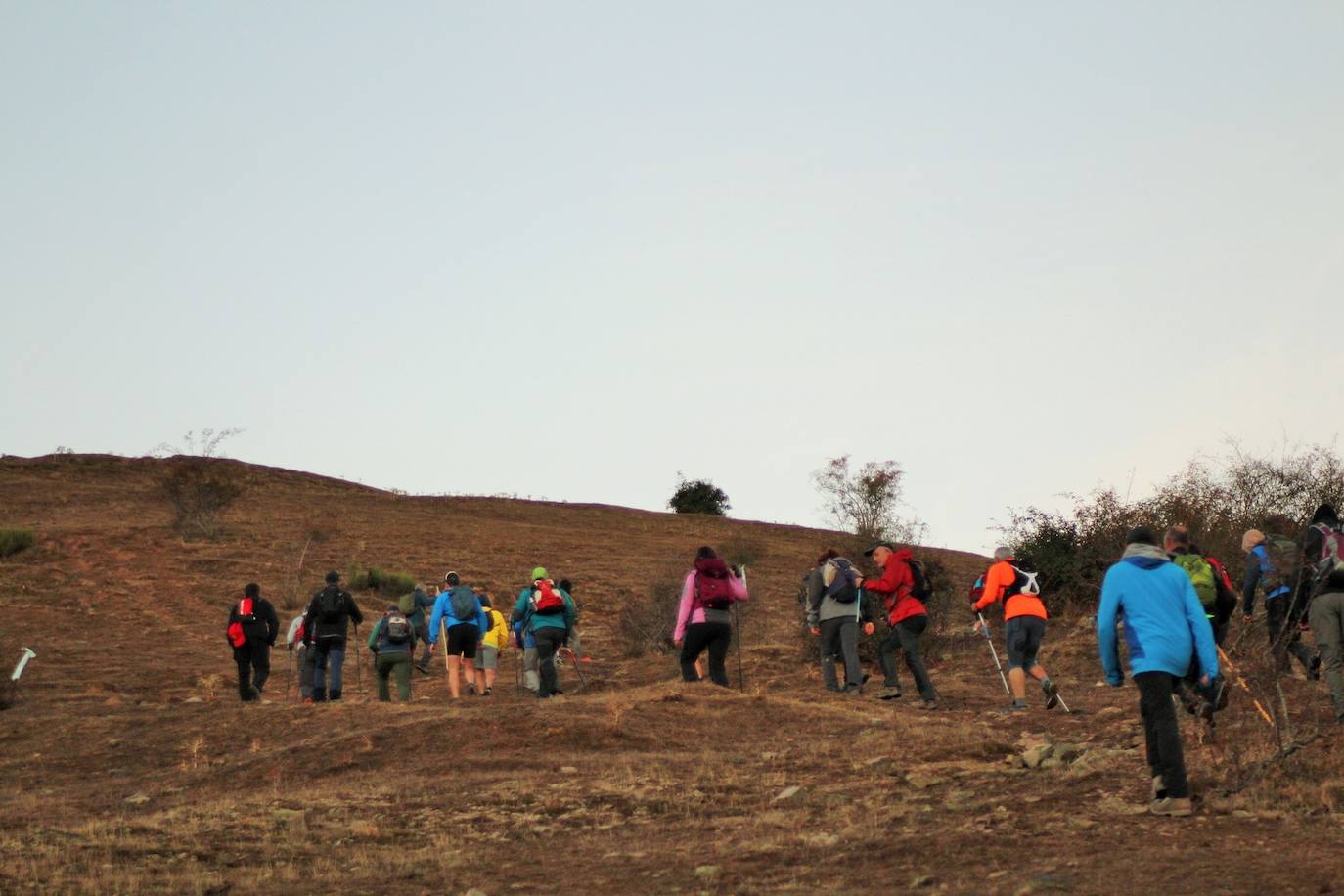 Fotos: Más de 300 senderistas recorren la Sierra de Cebollera