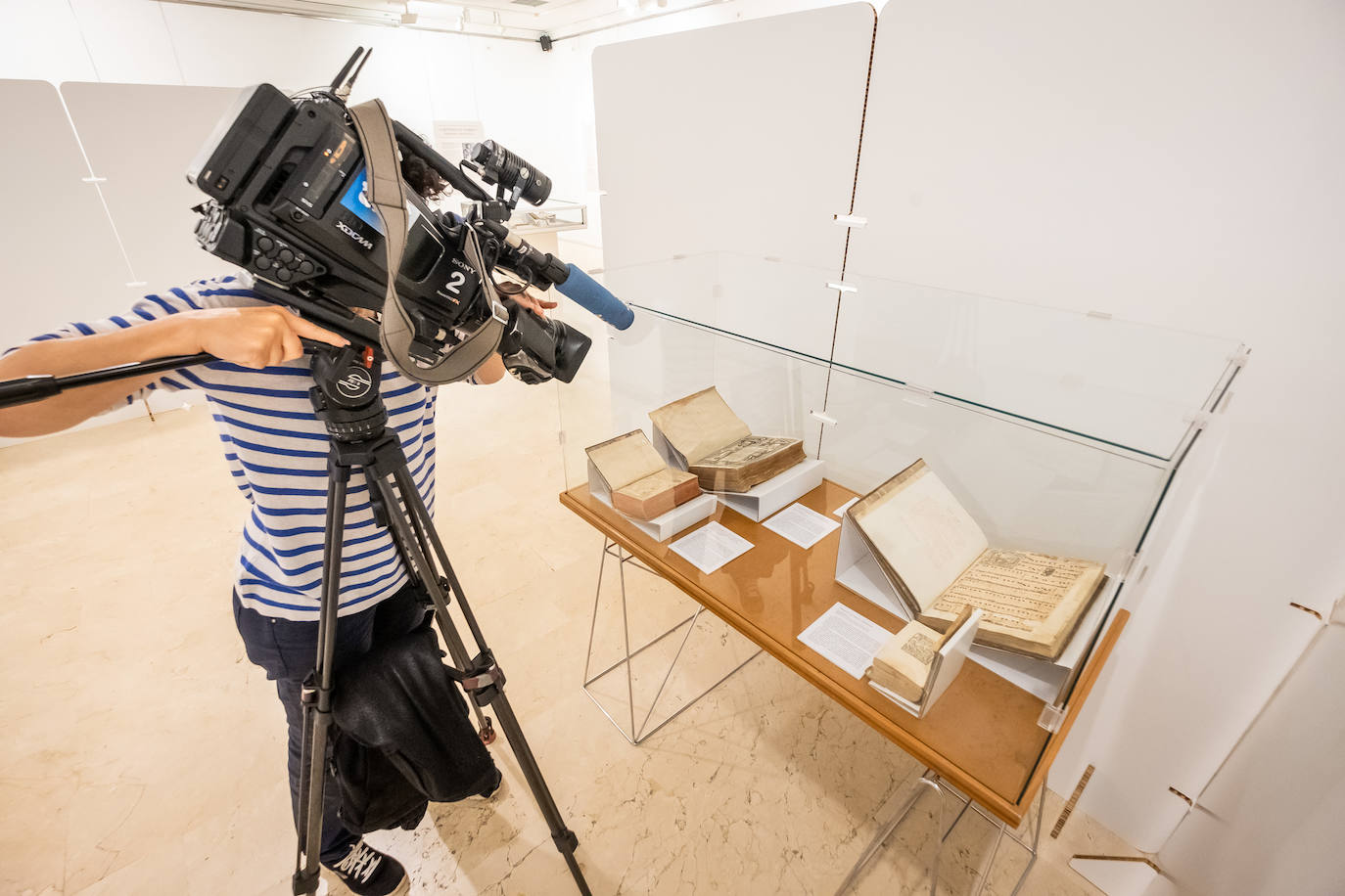 Fotos: La Biblioteca de La Rioja exhibe varias joyas bibliográficas de Guillén de Brocar