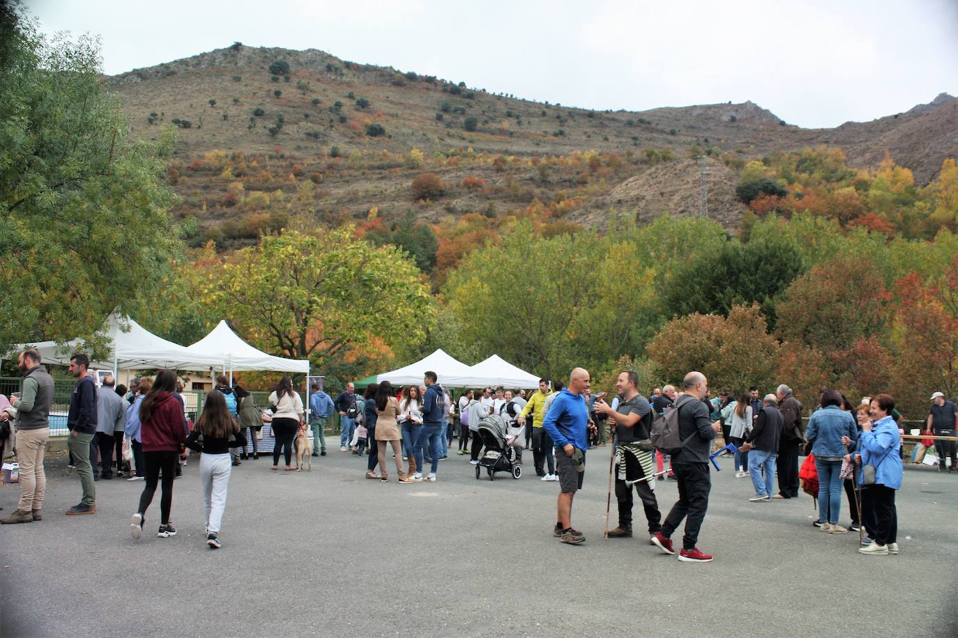 Fotos: Feria ganadera de Anguiano