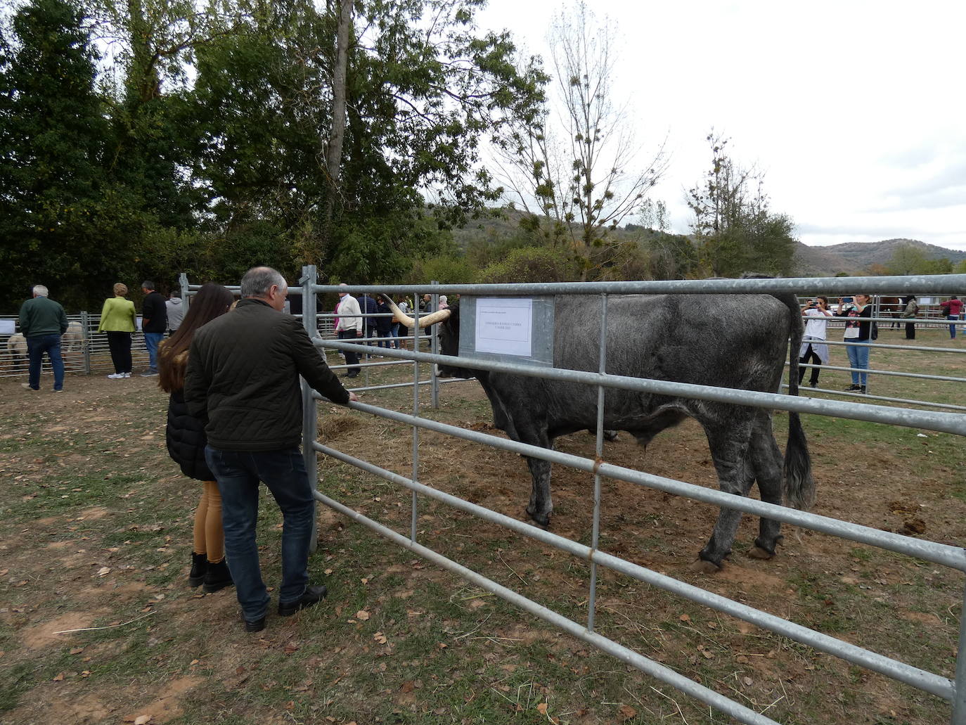 Fotos: Feria ganadera y de artesanía agroalimentaria de Ojacastro