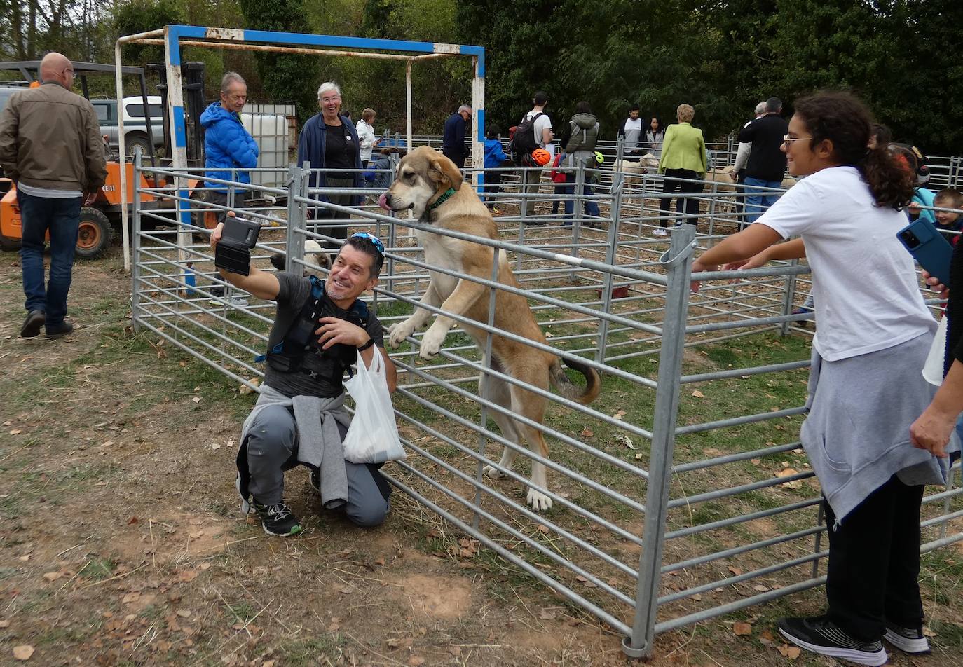 Fotos: Feria ganadera y de artesanía agroalimentaria de Ojacastro