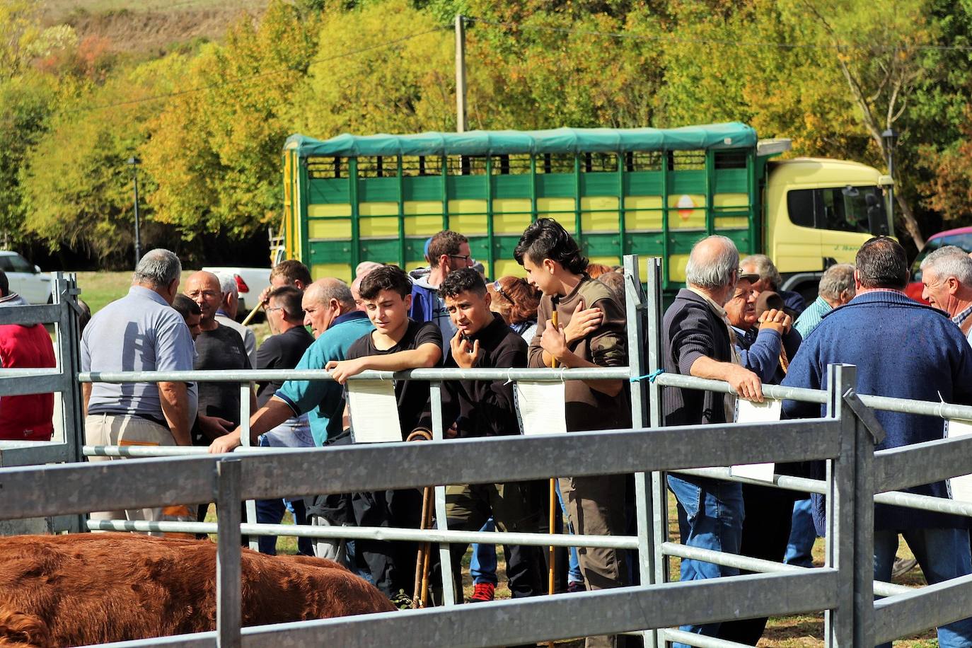 Fotos: Lo más granado de la ganadería camerana