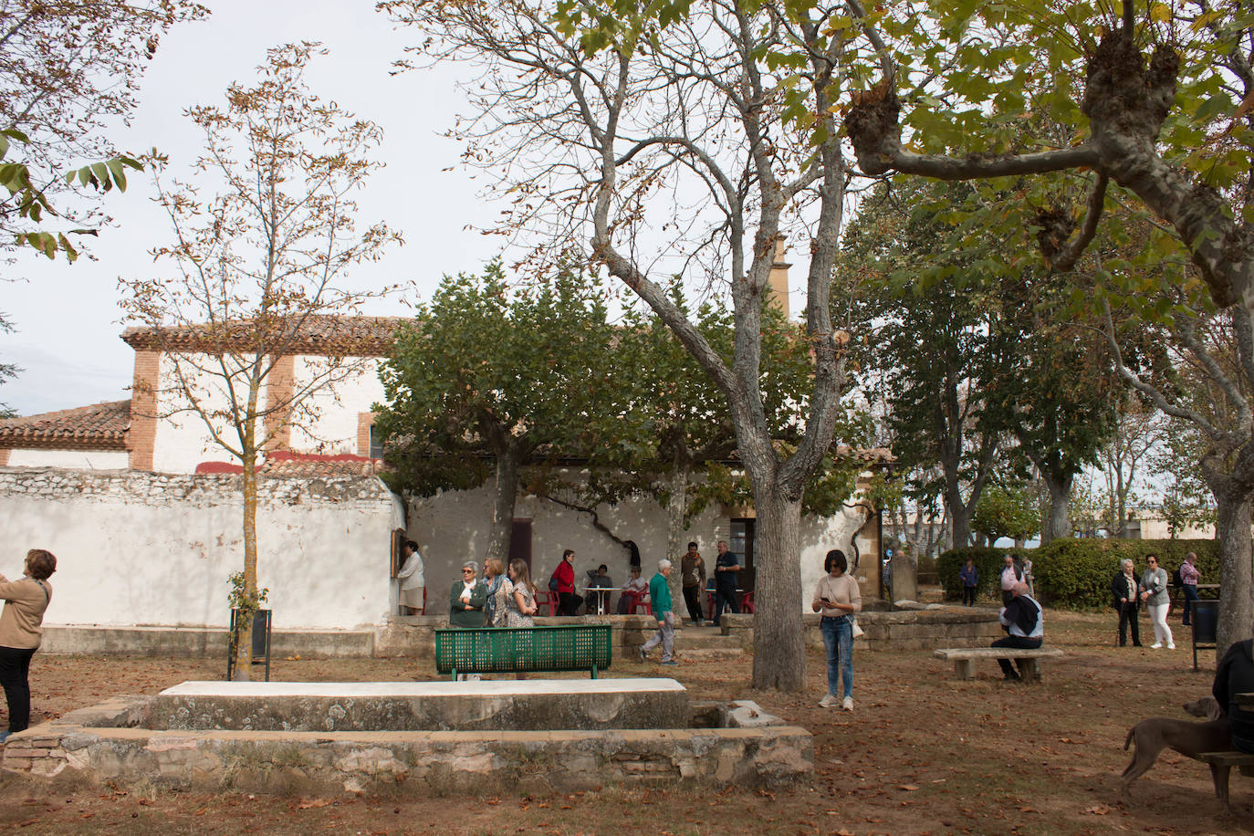 Fotos: Santo Domingo recuerda el milagro del gallo y la gallina con su romería