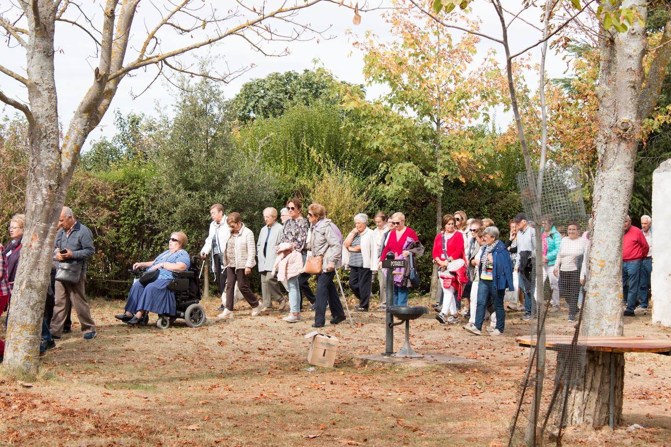 Fotos: Santo Domingo recuerda el milagro del gallo y la gallina con su romería