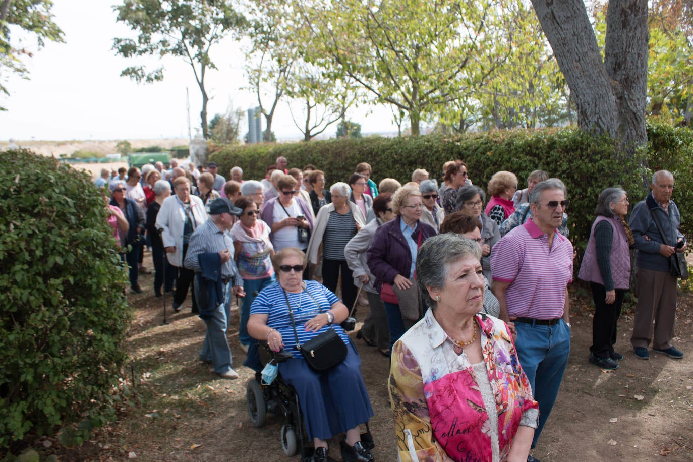 Fotos: Santo Domingo recuerda el milagro del gallo y la gallina con su romería
