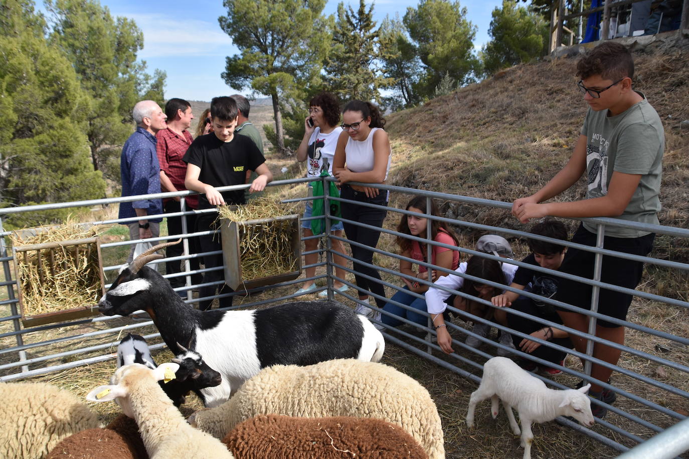 Fotos: XV Jornadas de Artesanía Medieval de Cornago