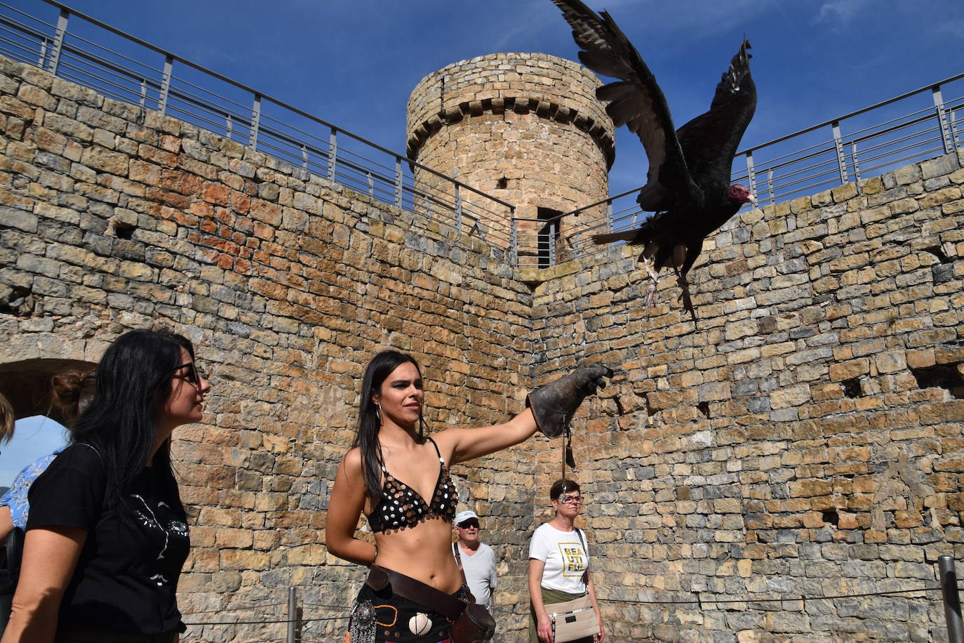 Fotos: XV Jornadas de Artesanía Medieval de Cornago