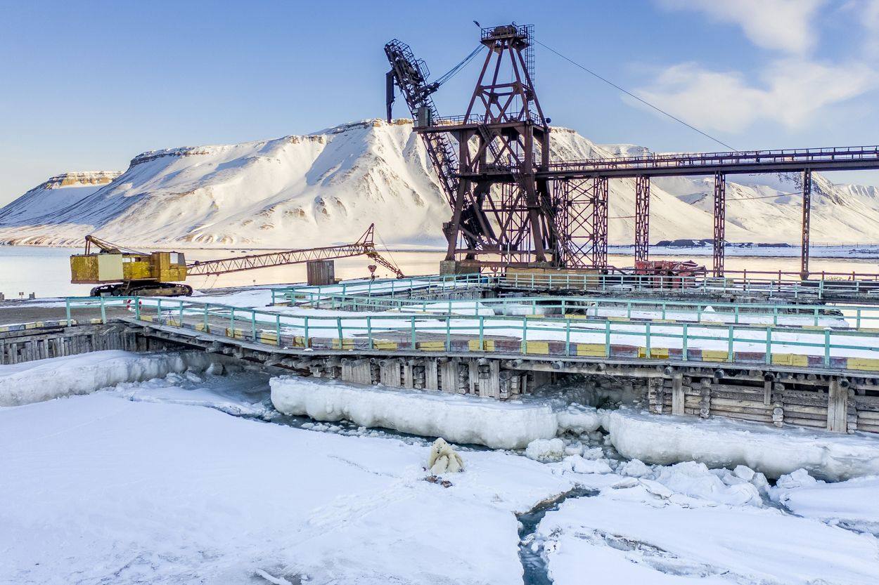 Una osa polar hembra amamanta a sus dos cachorros del año en el puerto del asentamiento ruso abandonado Pyramiden