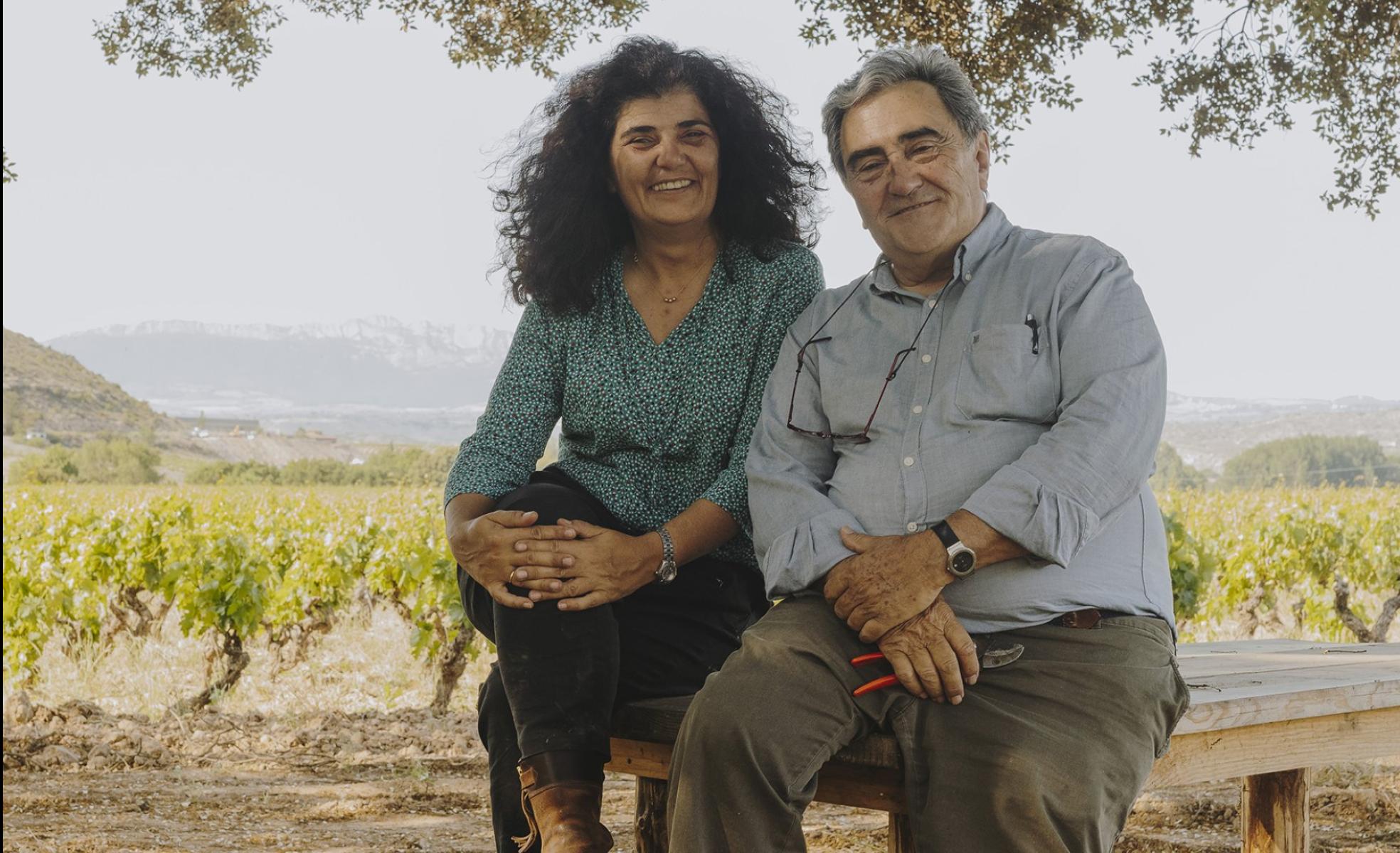 Villota: los vinos del meandro de Laserna
