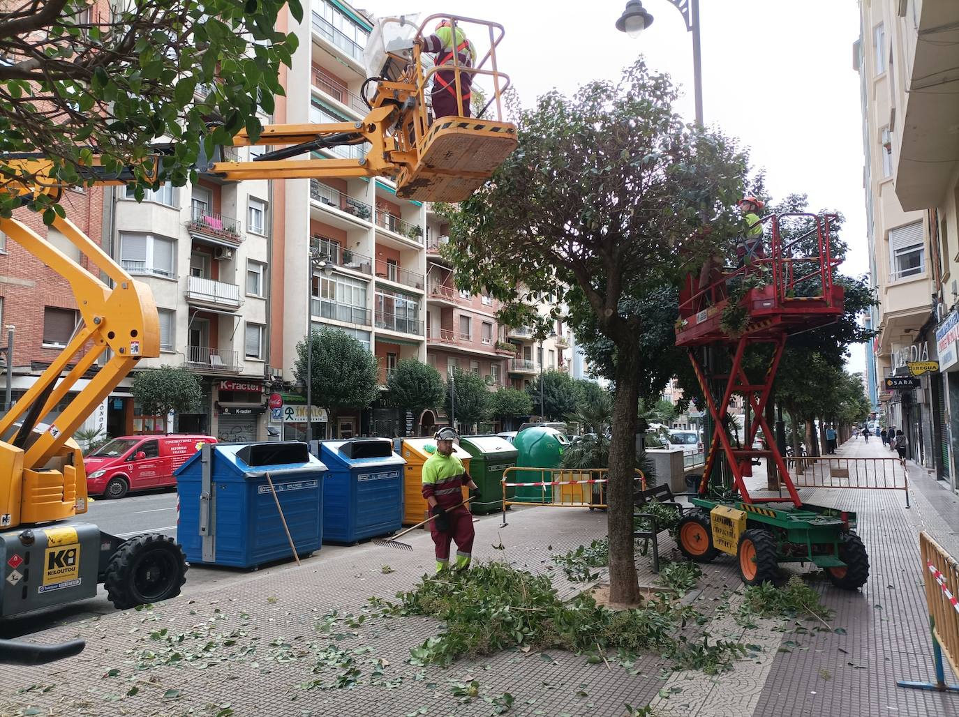 Imagen de la poda que se está llevando a cabo en las calles de Logroño. 