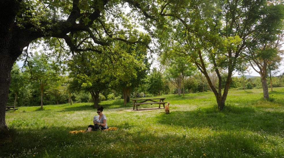 Fotografía de uno de los parques del Anillo Verde de Vitoria-Gasteiz (País Vasco).