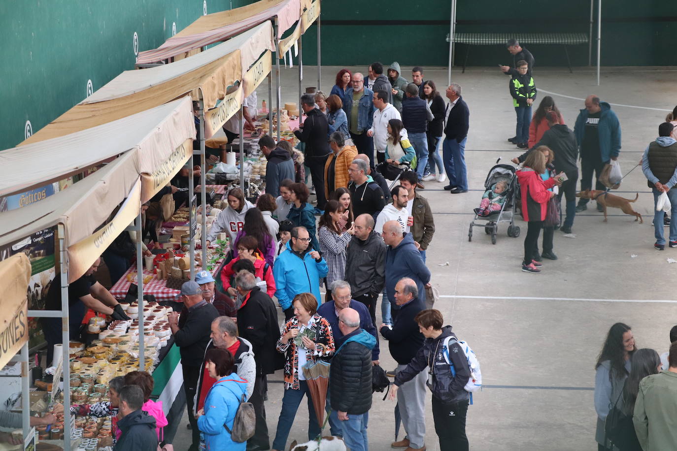 Fotos: Feria de quesos en Munilla