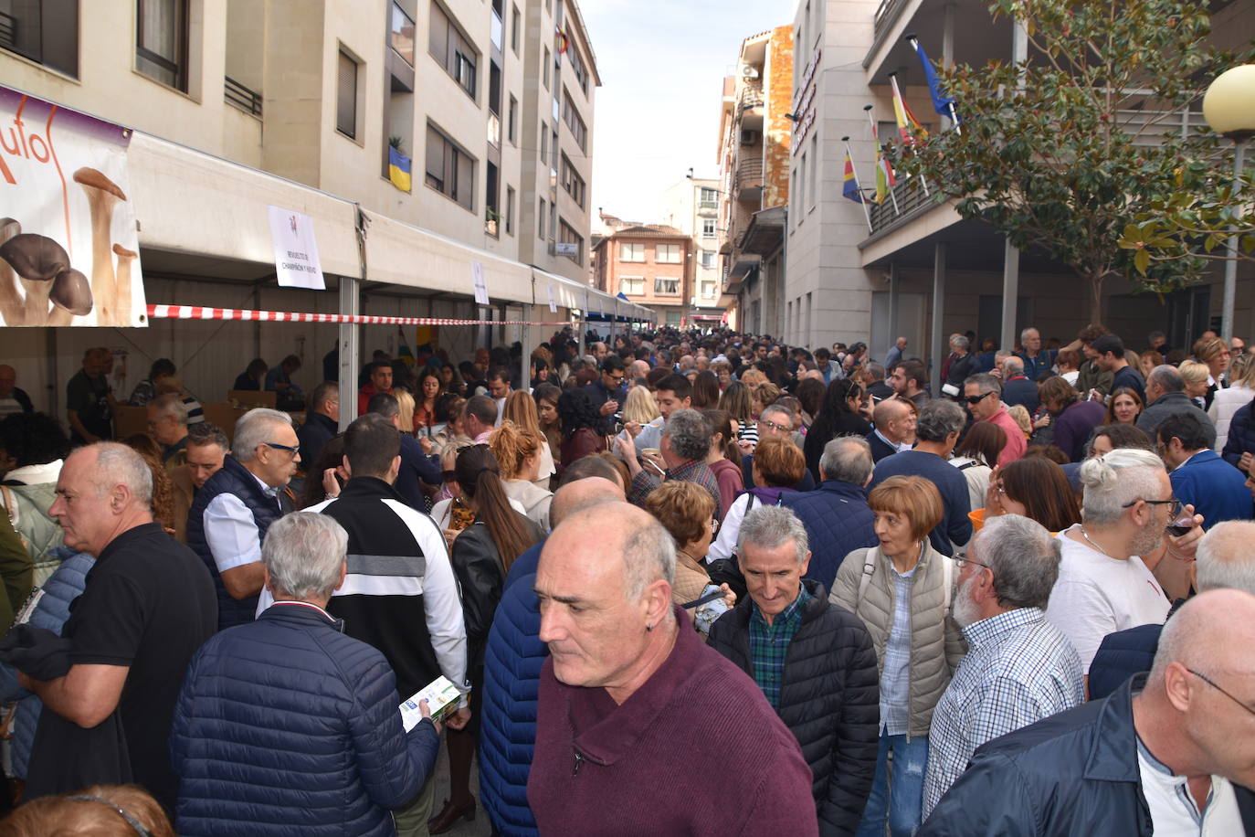 Fotos: Degustaciones y cocina en directo en las Jornadas de la seta y el champiñón en Autol