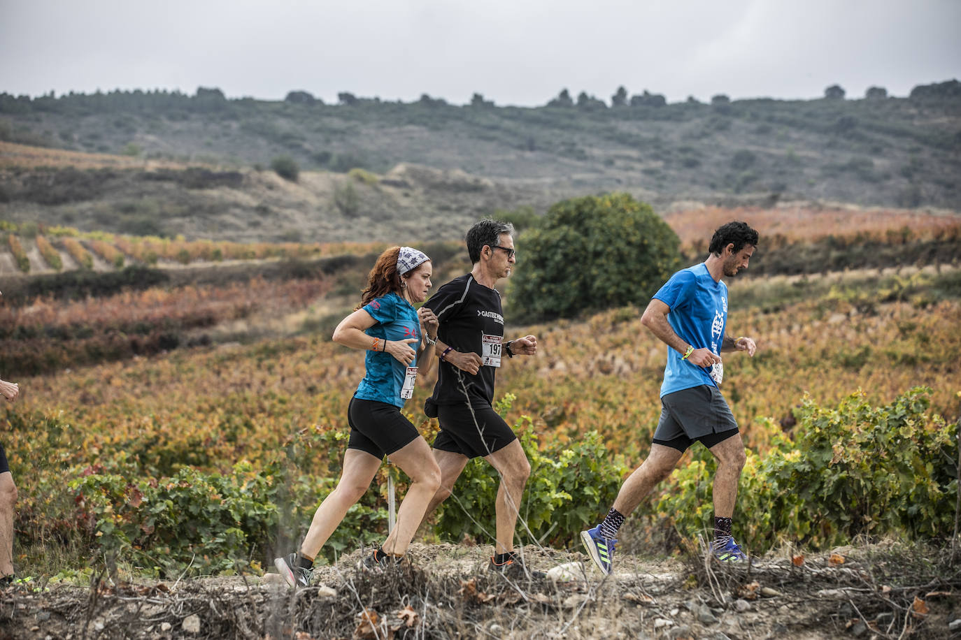 Fotos: Atletas entre las viñas