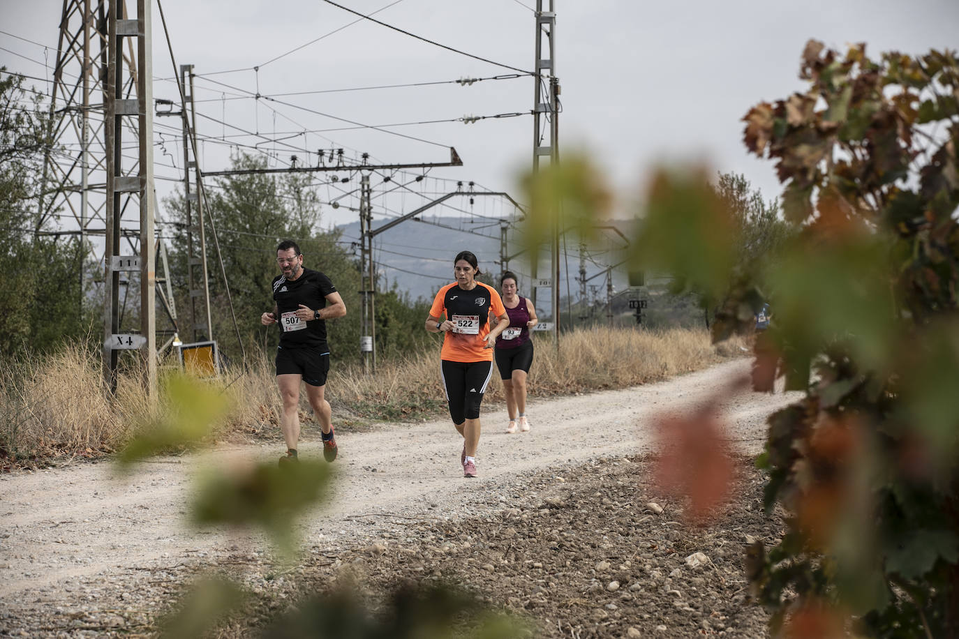 Fotos: Atletas entre las viñas